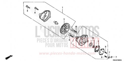OIL PUMP XR100R1 de 2001